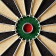 Traditional Dartboard (Natural Fibre) - Club 500 Hot on Sale