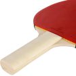 Table Tennis Bat 1* 2* - FR 100   PPR 100 Supply