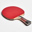 Spin Club Table Tennis Bat 5* - TTR 530 Online now