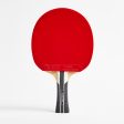 Club Table Tennis Bat Carbon 5* - TTR 590 Speed Online