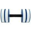 Pair of Foam Aquafit Dumbbells Aquagym blue white Online now