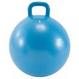 Resist Kids Gym Space Hopper 45cm Sale