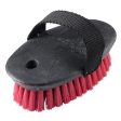 Adult Large Schooling Horse Riding Sarvis Curry Comb Supply