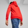 Puma ESS+ Logolab Boy s Hoodie FL B - Red Online Hot Sale