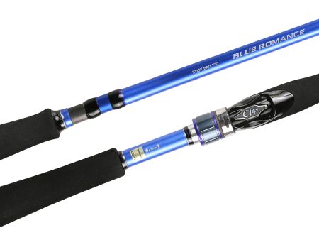 Shimano Blue Romance AX 662XXL 1-3kg Rod Fashion