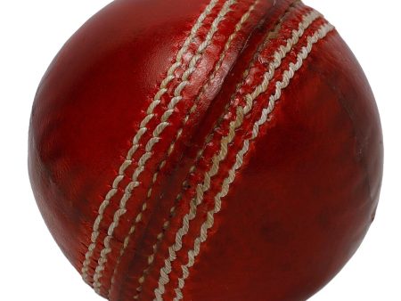 NON TOXIC 4 PIECE CRICKET LEATHER BALL Online now