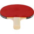 Table Tennis Bat 1* 2* - FR 100   PPR 100 Supply