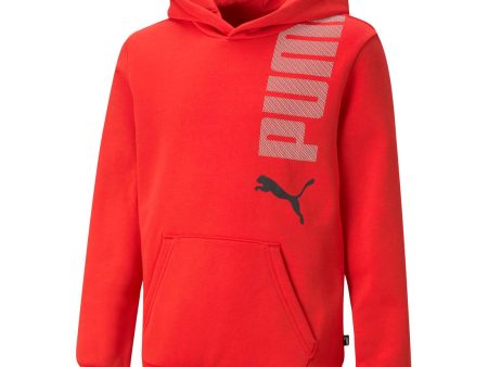 Puma ESS+ Logolab Boy s Hoodie FL B - Red Online Hot Sale