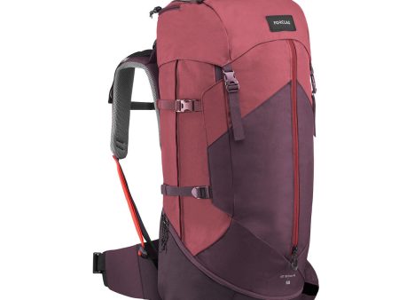 Mountain Trekking Backpack 50L - Trek 100 Easyfit Fashion