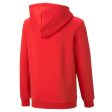 Puma ESS+ Logolab Boy s Hoodie FL B - Red Online Hot Sale