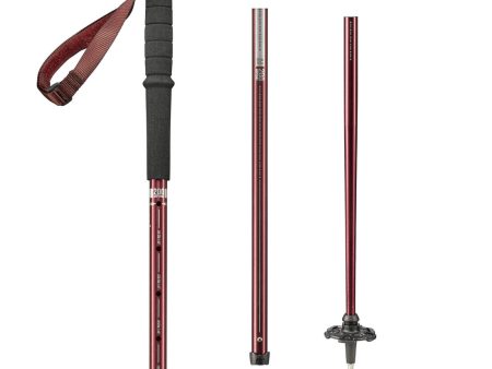 Hiking Pole x1 - Arpenaz 200 Sale