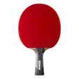 Club Table Tennis Bat 5* 6* - TTR 900 Spin Online Hot Sale