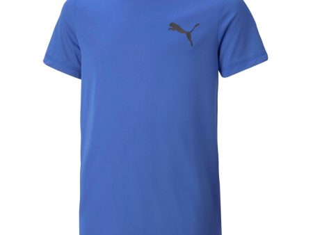 Puma Active Small Logo Boy s Tee - Blue For Sale