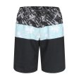 Boy s Boardshorts 18  - 100 Online now