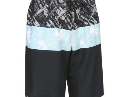 Boy s Boardshorts 18  - 100 Online now