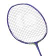 BR 960 P Adult Badminton Racket - Purple Online now