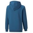 Puma Mass Merchants Boy s Hoodie FL - Blue Hot on Sale