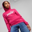 Puma ESS Logo Girl s Hoodie TR G - Pink For Cheap