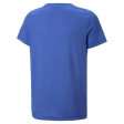 Puma Active Small Logo Boy s Tee - Blue For Sale