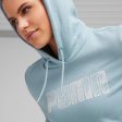 Puma Mass Merchants Style Women s Hoodie FL - Sky Blue Online Hot Sale