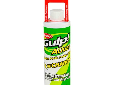 Berkely Gulp Alive Recharge Juice 8oz (236ml) For Discount