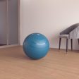 Domyos 55cm Gymball Online now