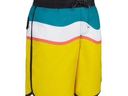 Boy s Swimming Shorts - BS 500 For Cheap