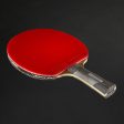 Club Table Tennis Bat 5* 6* - TTR 900 Spin Online Hot Sale