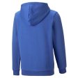 Puma ESS+ Logolab Boy s Hoodie FL B - Blue Online Hot Sale