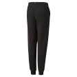 Puma ESS+ Logolab Boy s Sweatpants FL cl B - Black Cheap