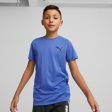 Puma Active Small Logo Boy s Tee - Blue For Sale