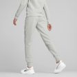 Puma Mass Merchants Style Women s Sweatpants FL - Grey For Cheap