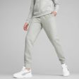 Puma Mass Merchants Style Women s Sweatpants FL - Grey For Cheap